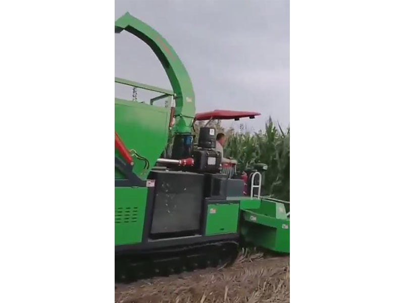 履帶標配版玉米收割視頻