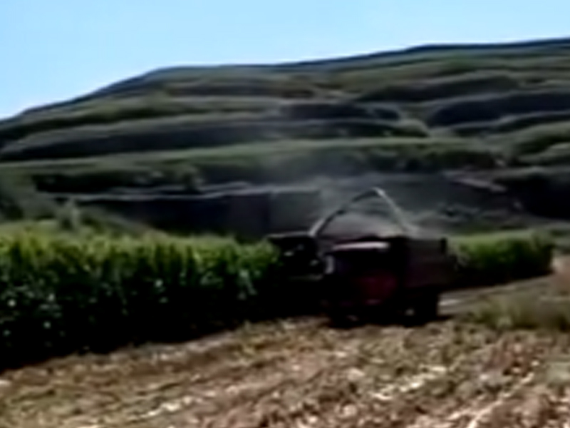 輪式豪華版·收割玉米跟車作業(yè)·寧夏