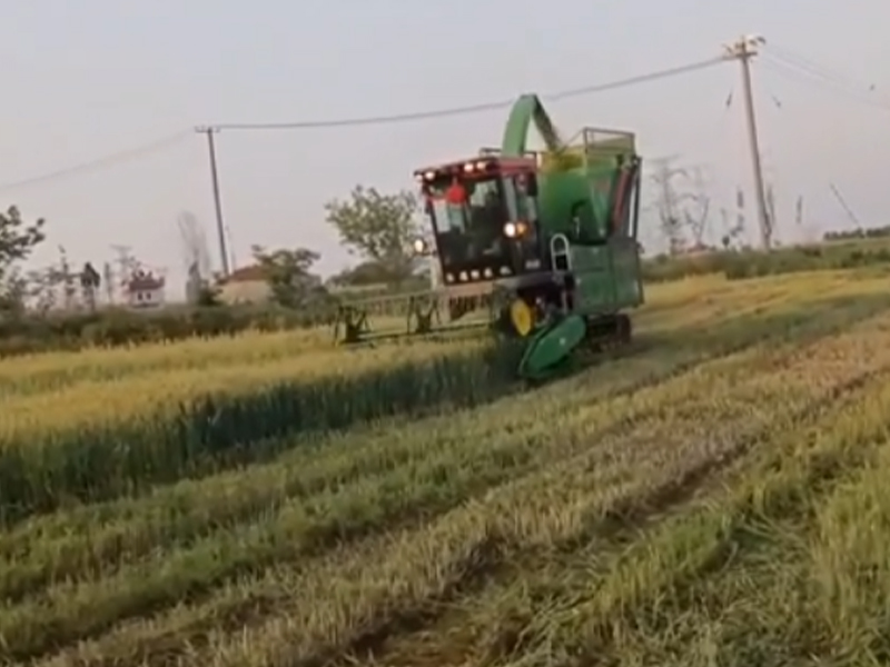 安徽用戶收割燕麥、苜蓿